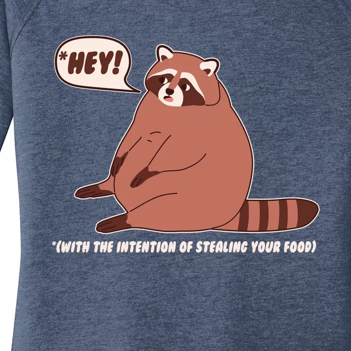 Funny Hey Fat Raccoon Stealing Your Food Women's Perfect Tri Tunic Long Sleeve Shirt