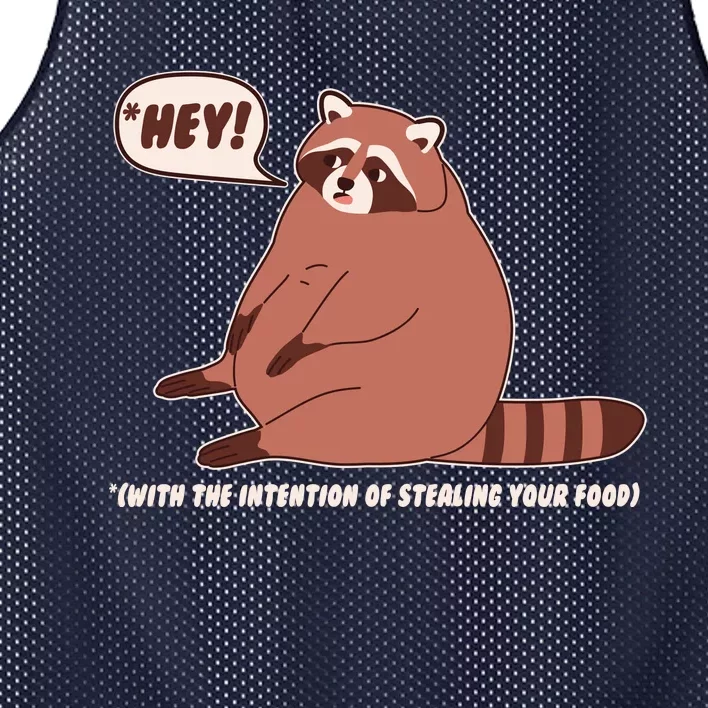 Funny Hey Fat Raccoon Stealing Your Food Mesh Reversible Basketball Jersey Tank