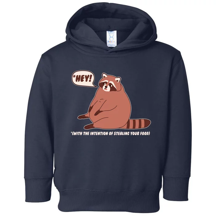 Funny Hey Fat Raccoon Stealing Your Food Toddler Hoodie