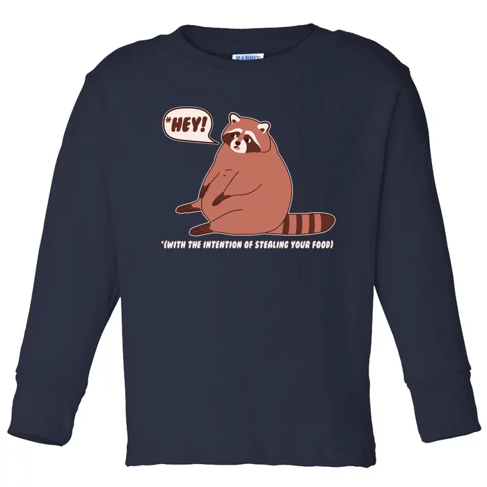 Funny Hey Fat Raccoon Stealing Your Food Toddler Long Sleeve Shirt