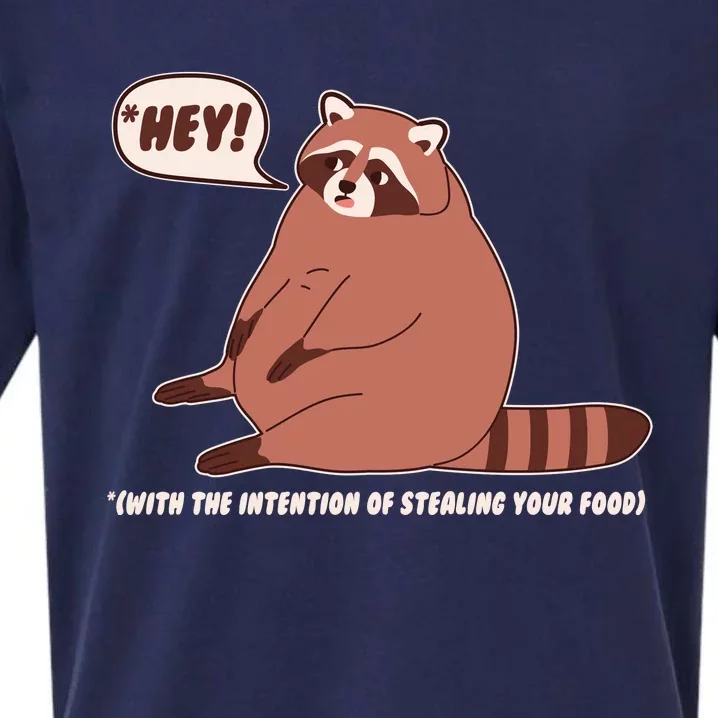 Funny Hey Fat Raccoon Stealing Your Food Sueded Cloud Jersey T-Shirt