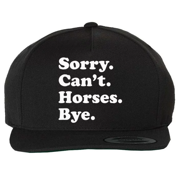 Funny Horse Gift For Men Women Wool Snapback Cap