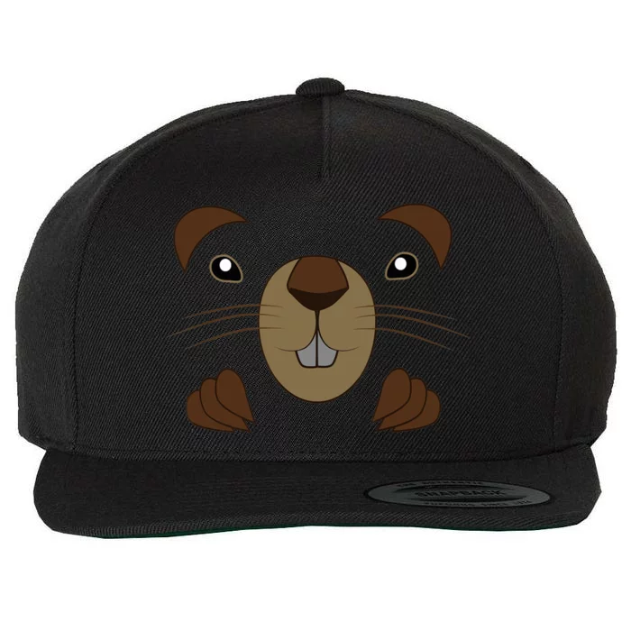 Funny Happy Groundhog Day Toddler Wool Snapback Cap