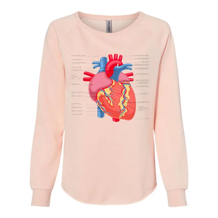 Funny Human Heart Anatomy Anatomical Heart Womens California Wash Sweatshirt