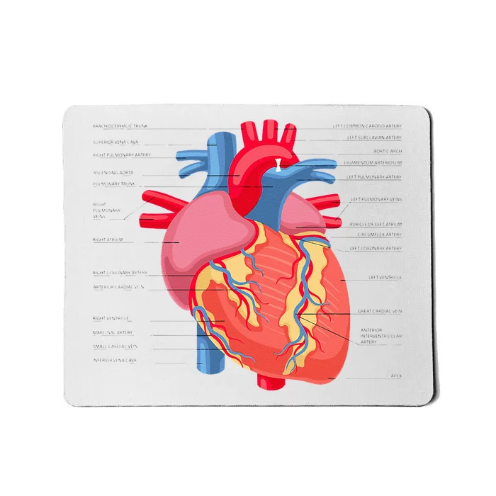 Funny Human Heart Anatomy Anatomical Heart Mousepad