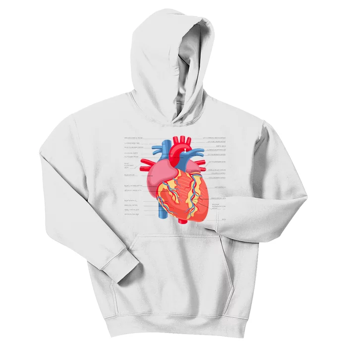 Funny Human Heart Anatomy Anatomical Heart Kids Hoodie