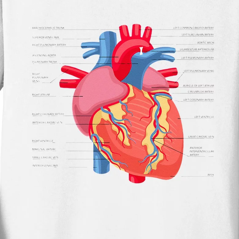 Funny Human Heart Anatomy Anatomical Heart Kids Long Sleeve Shirt