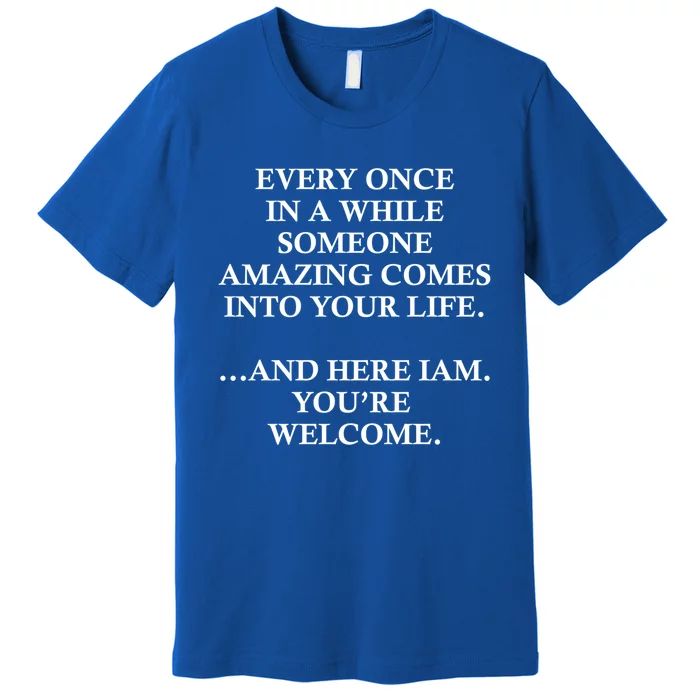 Funny Here I Am Youre Welcome Cool Gift Premium T-Shirt