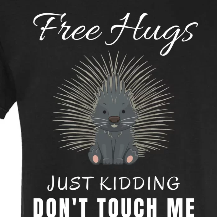 Free Hugs Just Kidding Dont Touch Me Porcupine Introvert Garment-Dyed Heavyweight T-Shirt