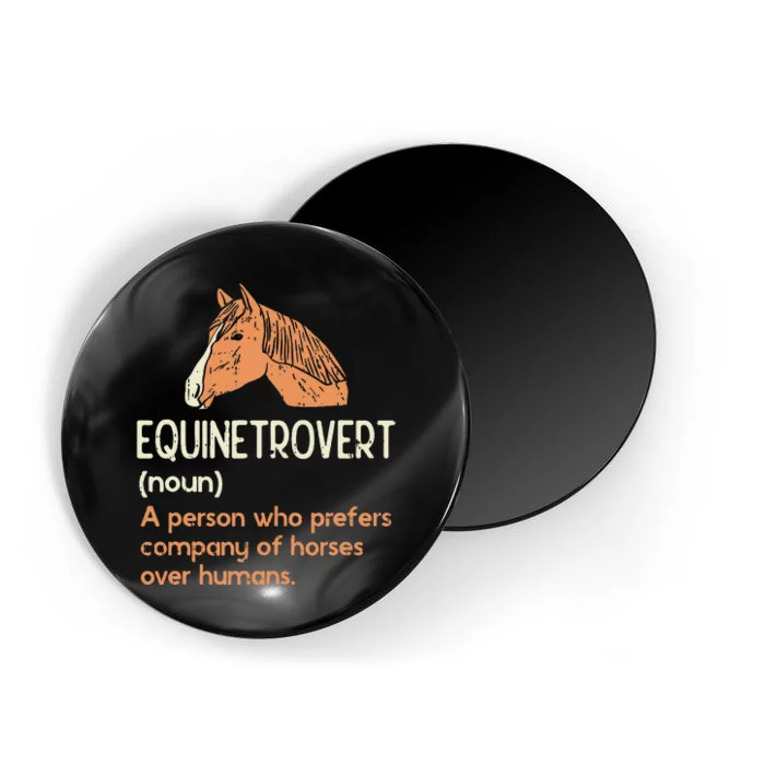 Fun Horse Lover Humor Funny Horse Definition Magnet