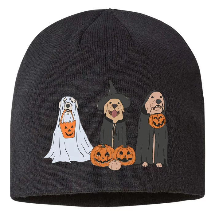 Funny Halloween Labrador Golden Retriever Ghost Dog Witch 8 1/2in Sustainable Knit Beanie