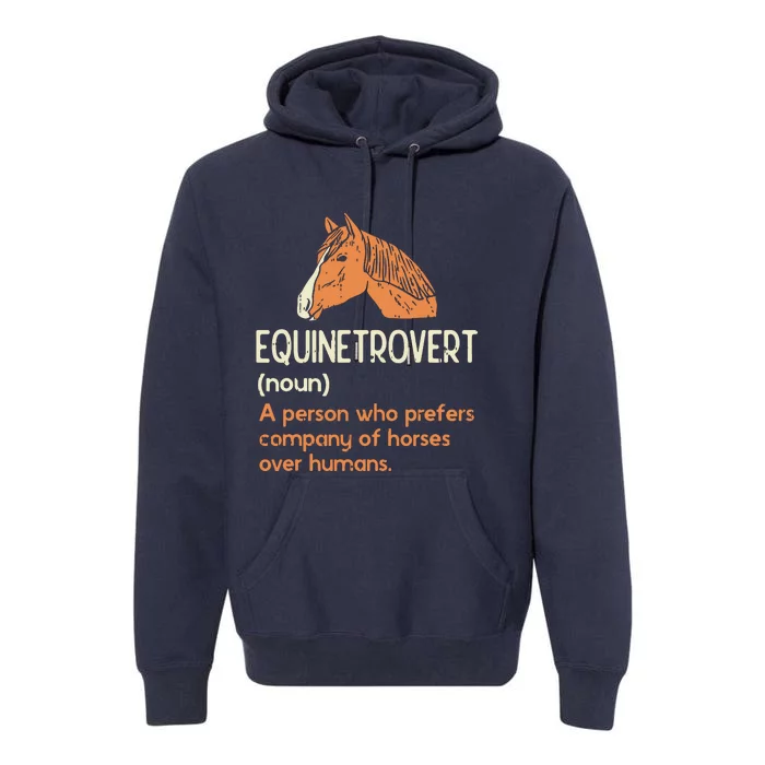 Fun Horse Lover Humor Funny Horse Definition Premium Hoodie