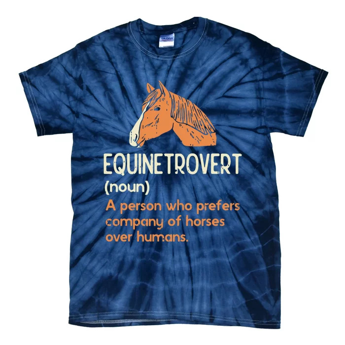 Fun Horse Lover Humor Funny Horse Definition Tie-Dye T-Shirt