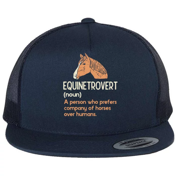 Fun Horse Lover Humor Funny Horse Definition Cute Gift Flat Bill Trucker Hat