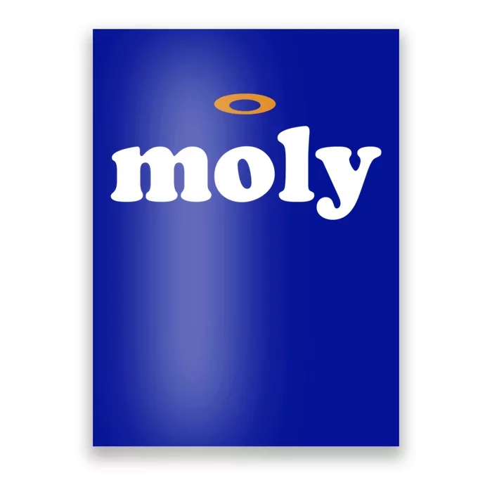 Funny Holy Moly Cool Gift Poster