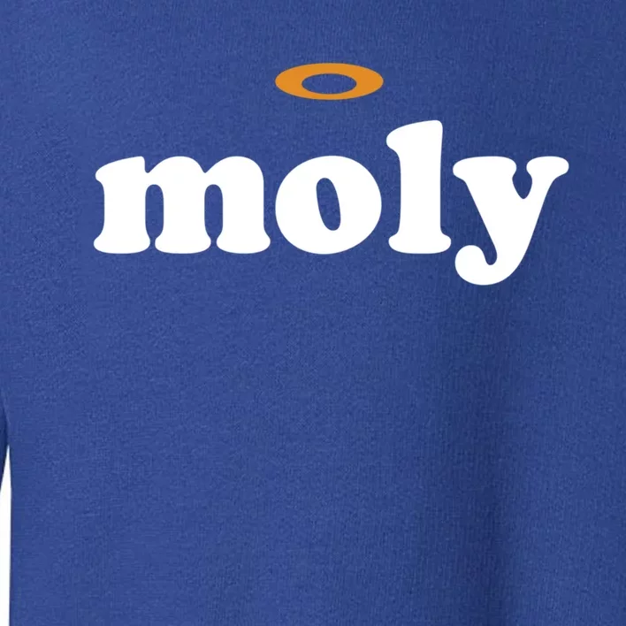 Funny Holy Moly Cool Gift Toddler Sweatshirt