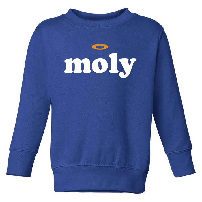 Funny Holy Moly Cool Gift Toddler Sweatshirt