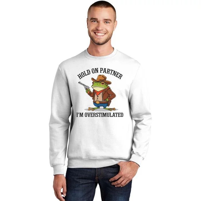 Funny Hold On Partner IM Overstimulated Cow Frog Vintage Sweatshirt