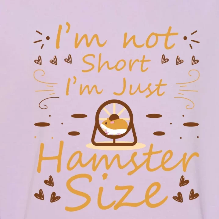 Funny Hamster Pet Great Gift Funny Hamster Gift Garment-Dyed Sweatshirt