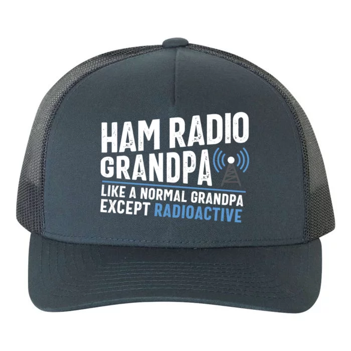 Funny Ham Radio Operator Antenna Amateur Radio Tee Funny Gift Yupoong Adult 5-Panel Trucker Hat