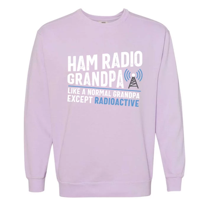 Funny Ham Radio Operator Antenna Amateur Radio Tee Funny Gift Garment-Dyed Sweatshirt