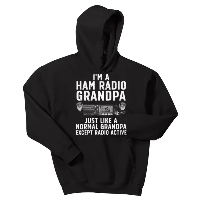 Funny Ham Radio Art For Grandpa Ham Operator Amateur Radio Kids Hoodie