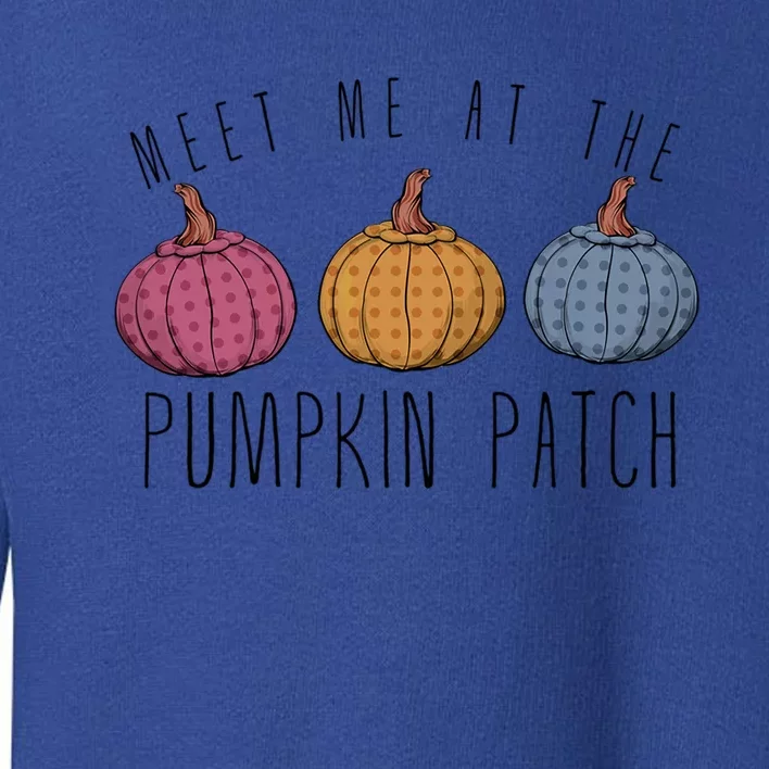 Fall Harvest Season Meet Me At The Pumpkin Patch Autumn Gift Toddler Sweatshirt