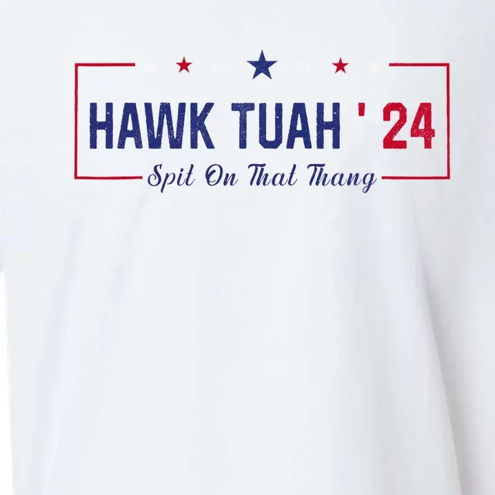 Funny Hawk Tuah 24 Spit On That Thang Sueded Cloud Jersey T-Shirt