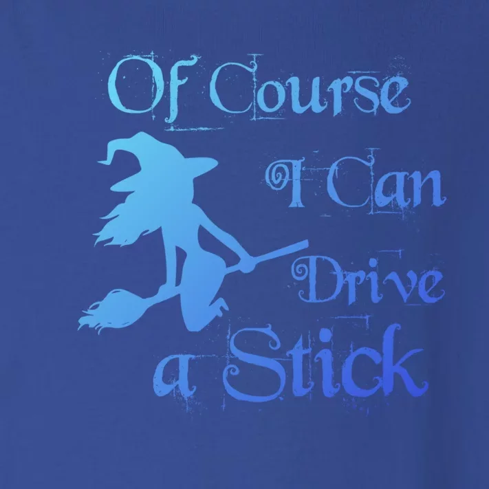 Funny Halloween Witch Of Course I Can Drive A Stick Broom Gift Toddler Long Sleeve Shirt