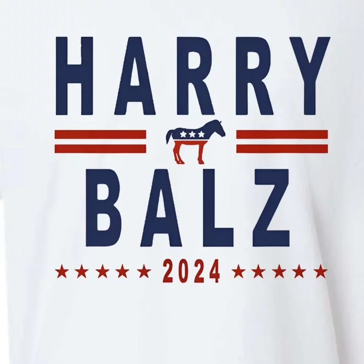 Funny Harris Walz 24 Harry Balz 2024 Meme Democratics Vote Sueded Cloud Jersey T-Shirt