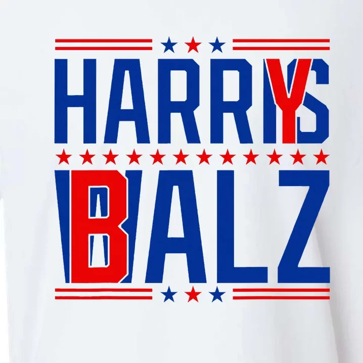 Funny Harris Walz 24 Harry Balz 2024 Meme Democratics Vote Sueded Cloud Jersey T-Shirt