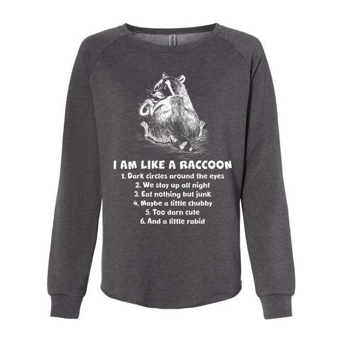 Funny I Am Like A Raccoon Womens California Wash Sweatshirt