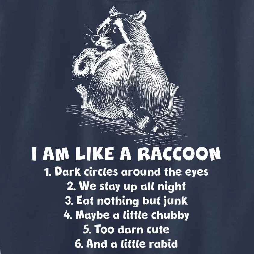 Funny I Am Like A Raccoon Kids Sweatshirt