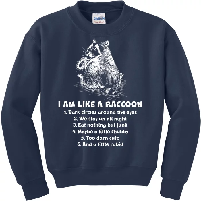 Funny I Am Like A Raccoon Kids Sweatshirt