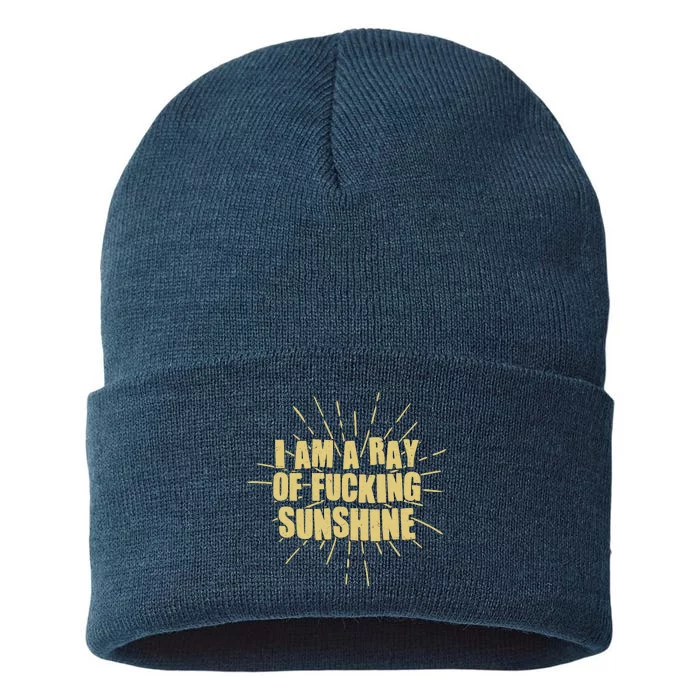 Funny I Am A Ray Of Fucking Sunshine Sustainable Knit Beanie