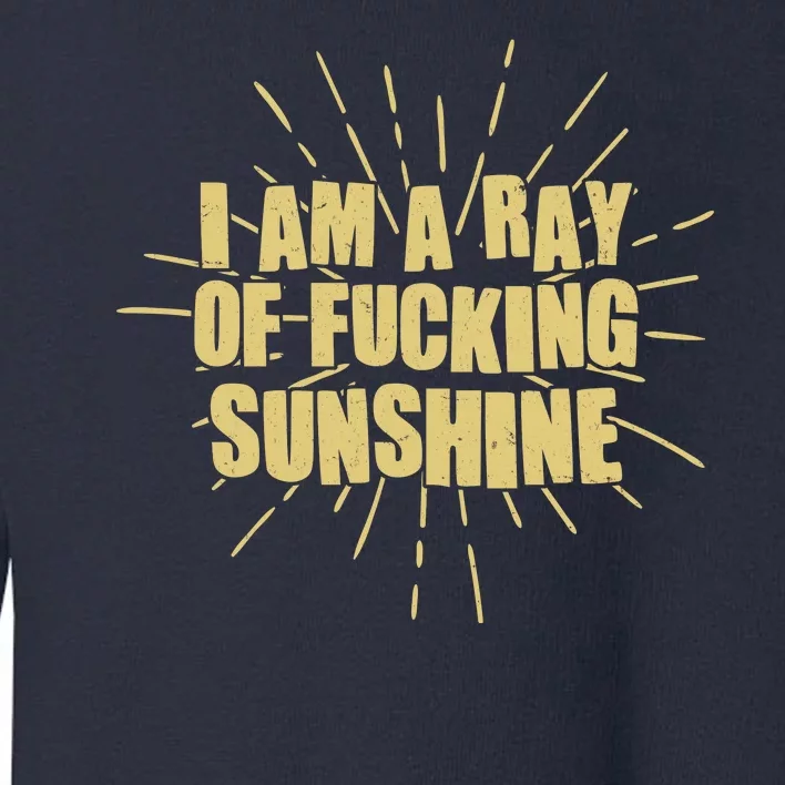 Funny I Am A Ray Of Fucking Sunshine Toddler Sweatshirt