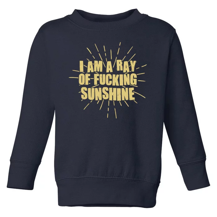 Funny I Am A Ray Of Fucking Sunshine Toddler Sweatshirt