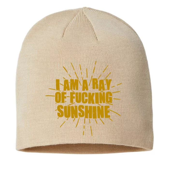 Funny I Am A Ray Of Fucking Sunshine 8 1/2in Sustainable Knit Beanie