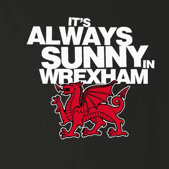 Funny It's Always Sunny in Wrexham Wales Dragon Toddler Long Sleeve Shirt