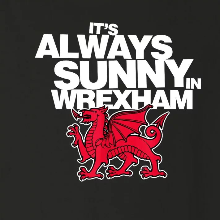 Funny ItS Always Sunny In Wrexham Wales Dragon Toddler Long Sleeve Shirt