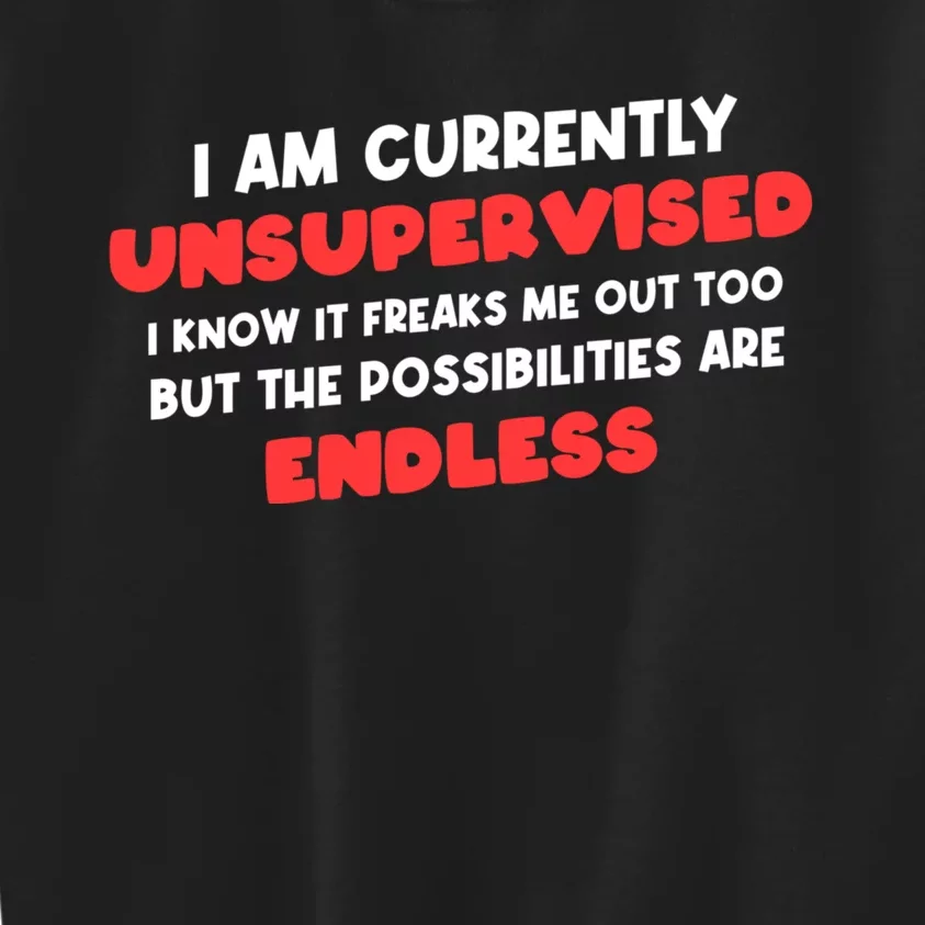 Funny I Am Currently Unsupervised I Know It Freaks Me Kids Sweatshirt