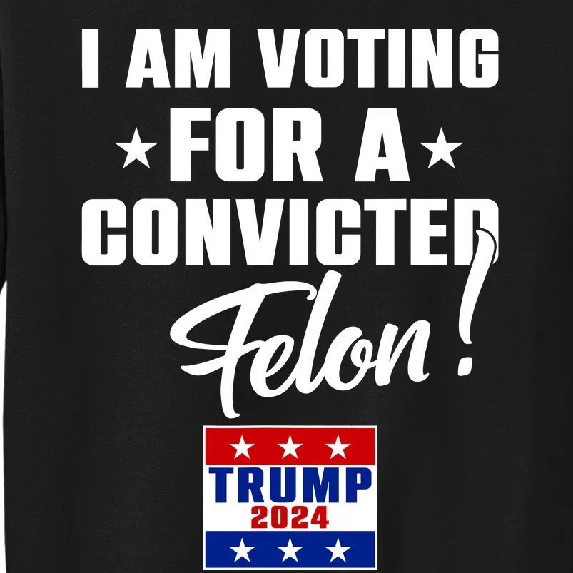 Funny I Am Voting For A Convicted Felon Support Trump 2024 Sweatshirt