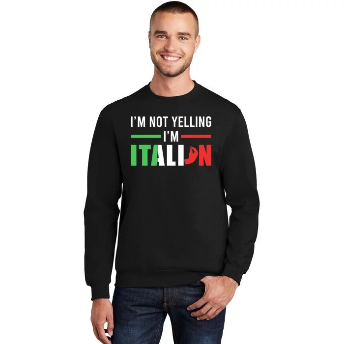 Funny I Am Not Yelling Italian Italy Italian Flag Aggressive Premium Tall Sweatshirt