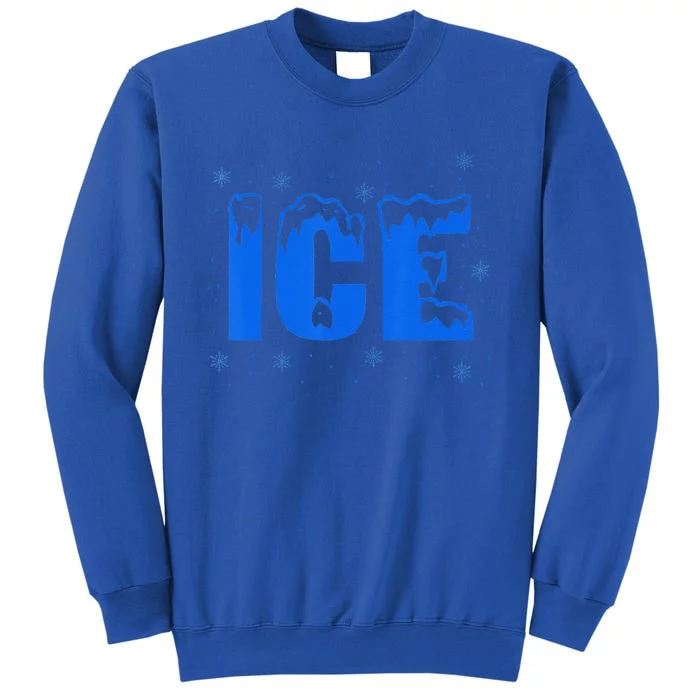 Frozen Ice Bag Funny Halloween Costume Sweatshirt