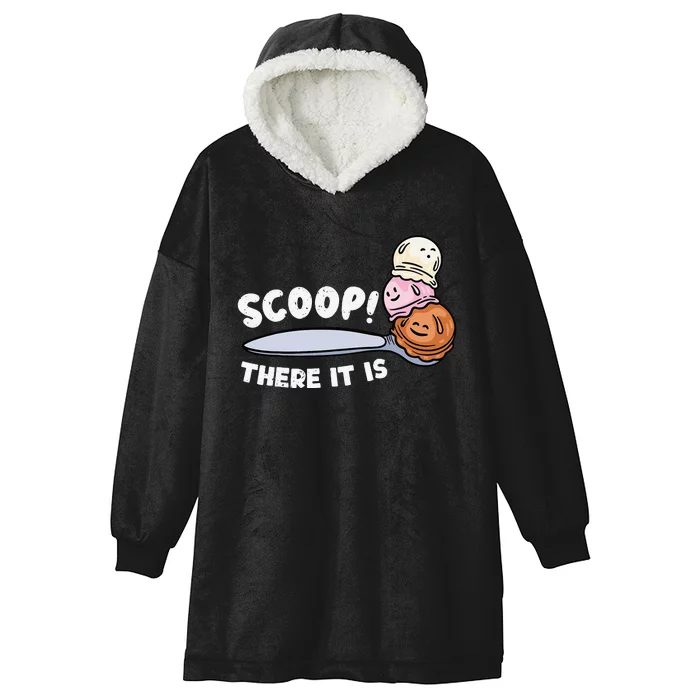 Funny Ice Cream Ice Cream Lover Gift Ice Cream Hooded Wearable Blanket