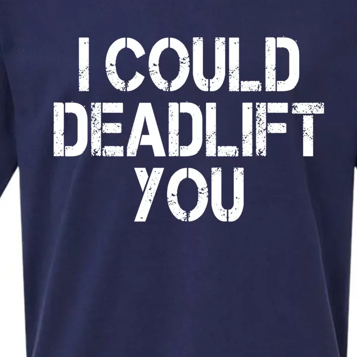 Funny I Could Deadlift You Gift Funny Gym Fitness Workout Gift Sueded Cloud Jersey T-Shirt