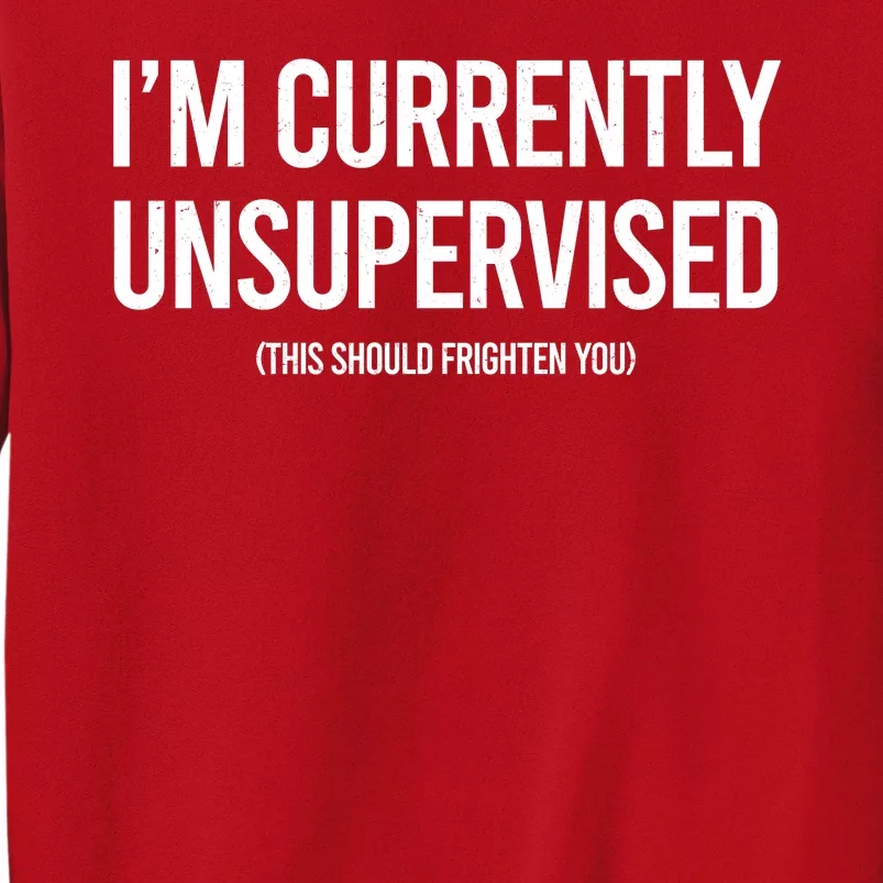 Funny Im Currently Unsupervised This Should Frighten You Sweatshirt