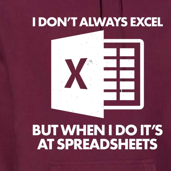 Funny I Don't Always Excel But When I Do It's At Spreadsheets Premium Hoodie