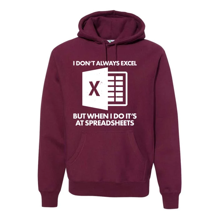 Funny I Don't Always Excel But When I Do It's At Spreadsheets Premium Hoodie