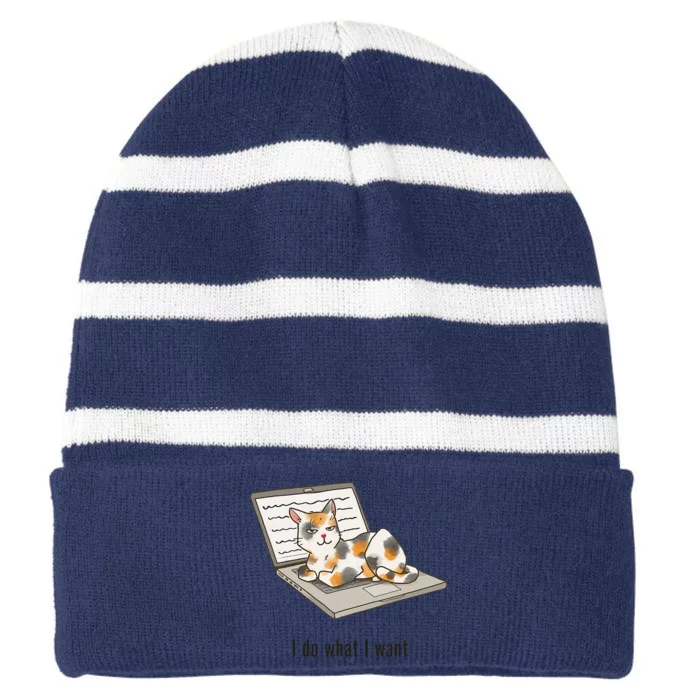 Funny I Do What I Want Boss Cat Sitting On Laptop Cat Meme Striped Beanie with Solid Band